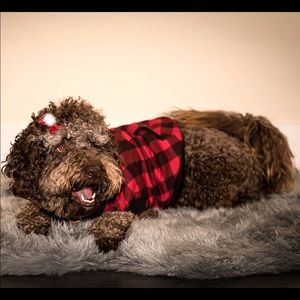 Meet your Posher, Preeth